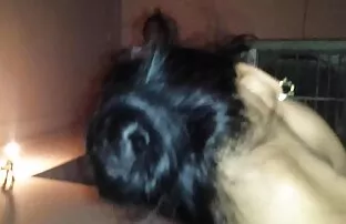 XXX Grube Spodnie filmy erotyczne ostre ruchanie