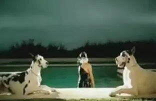 XXX Biedny student ucieka na ostre filmy poro szpitalnym łóżku