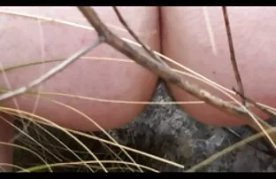XXX Potworna żaba uciekła przed sex ostry filmy dzieckiem